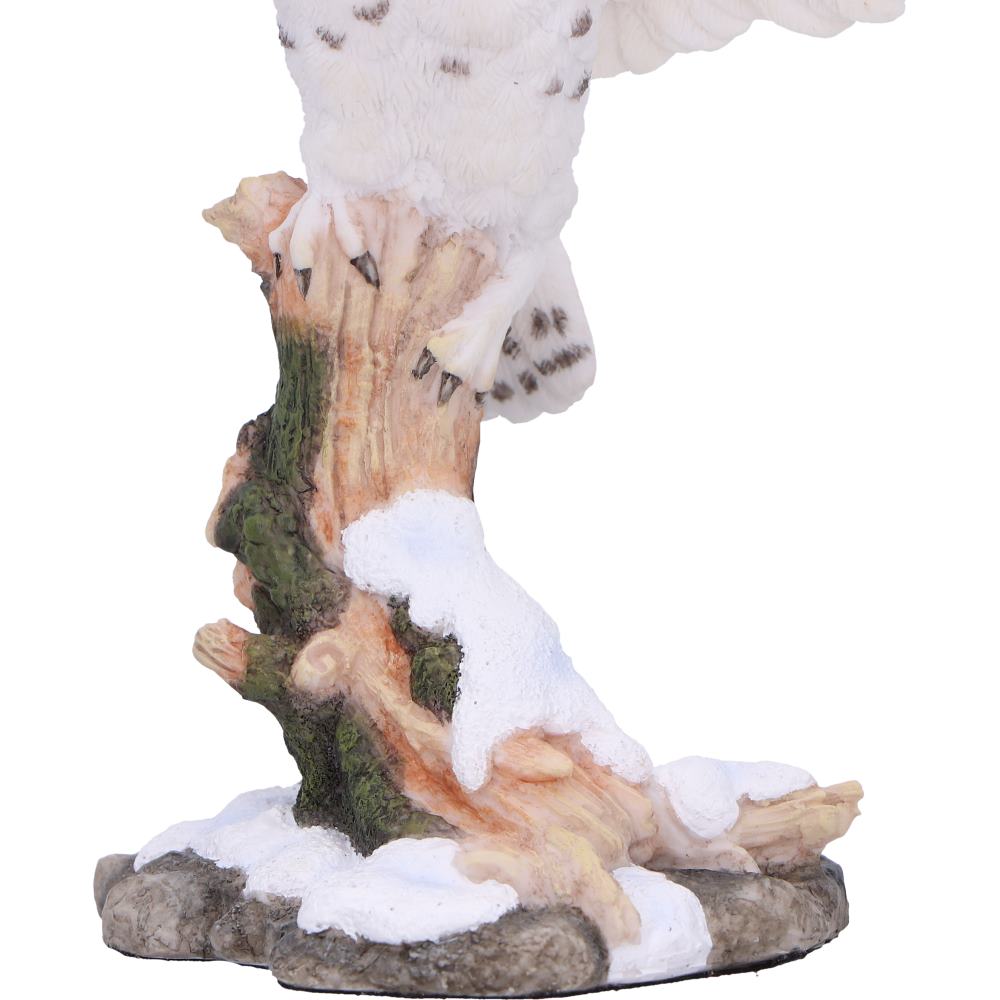 Snowfall 18cm