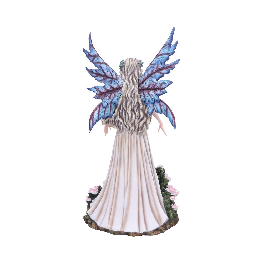 Carnelia 49.5cm