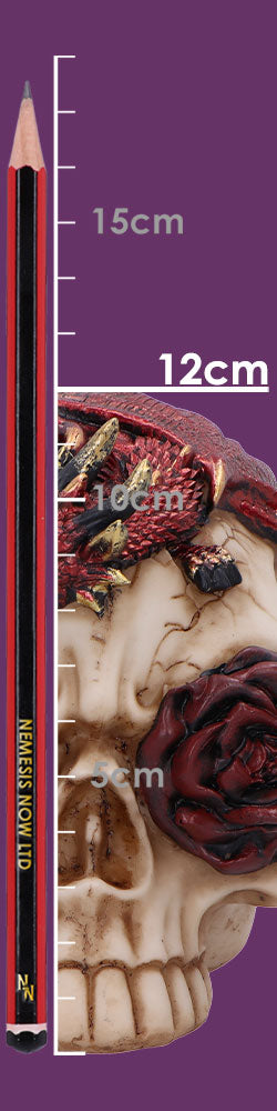 Rose Flame 14.5cm