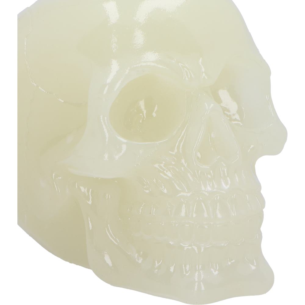 Phosphorescent (Medium) 13cm
