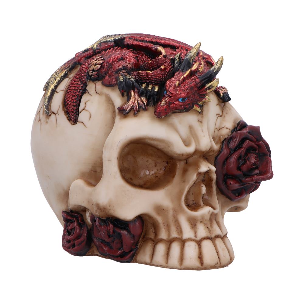 Rose Flame 14.5cm