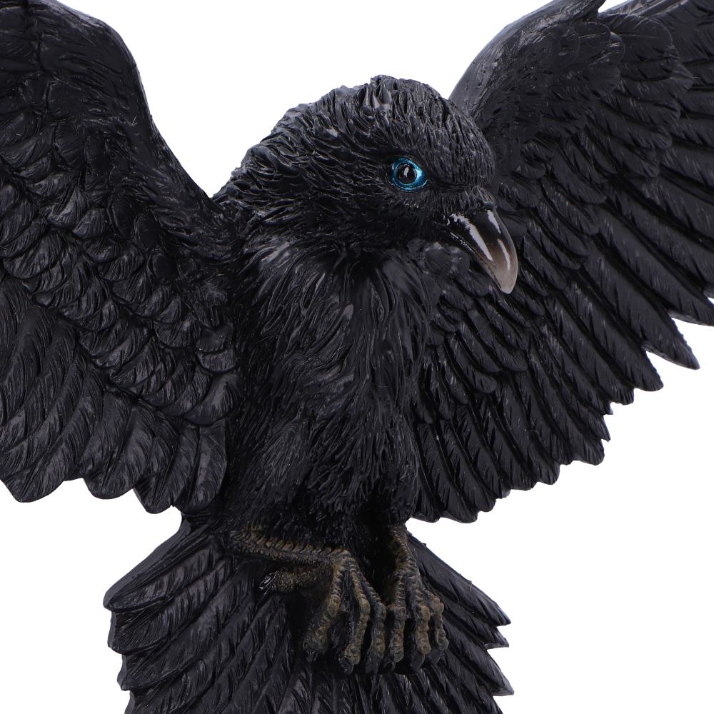 Flight of the Raven 35cm