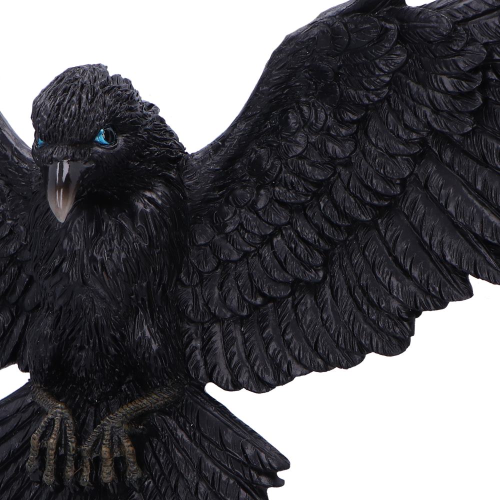 Flight of the Raven 35cm