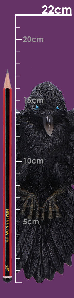 Flight of the Raven 35cm