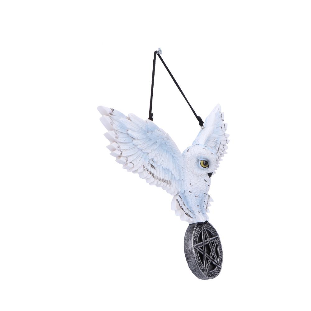 Owl Talisman 20.5cm
