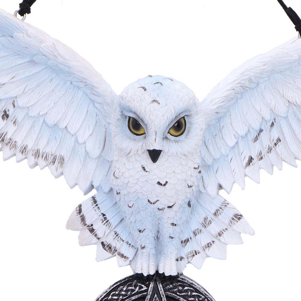 Owl Talisman 20.5cm