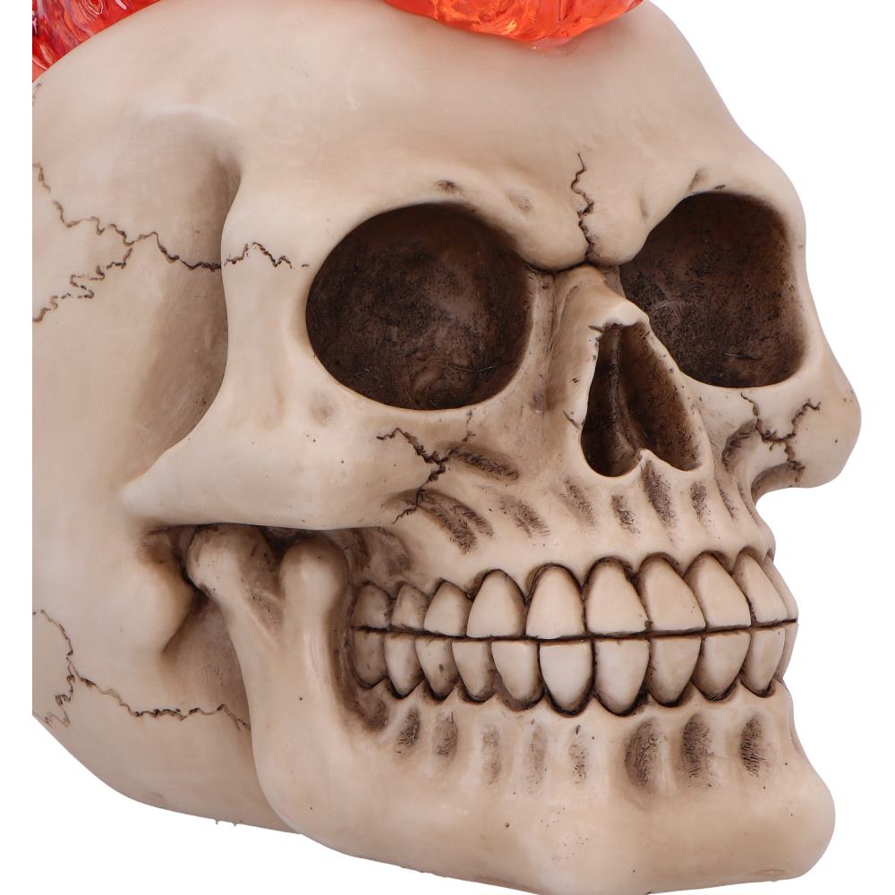 Hot-Headed 19cm